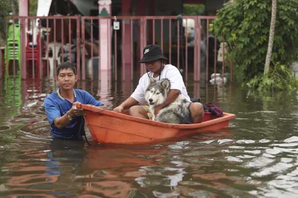 Earthquakes, hurricanes and fires: in which countries of the world do people die en masse due to natural disasters